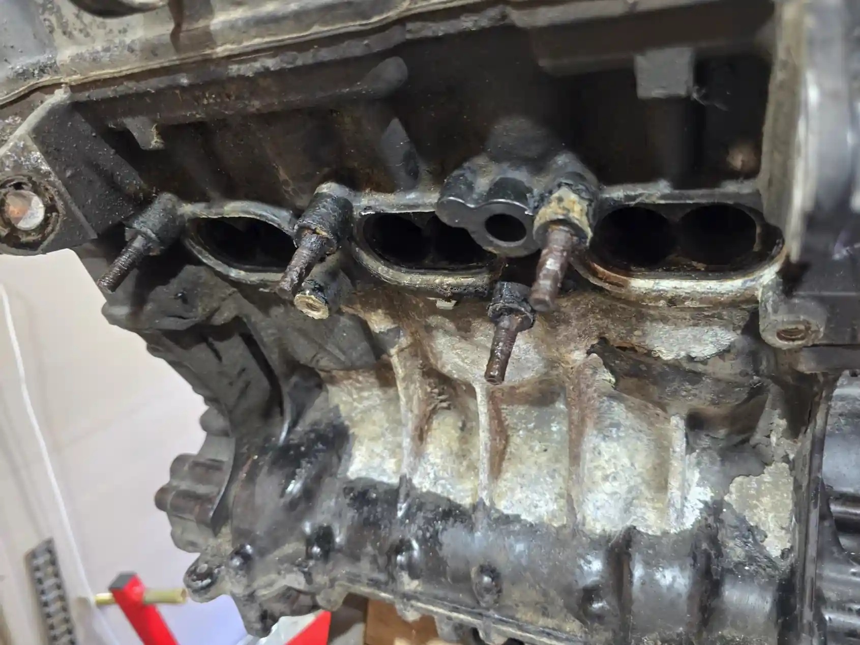 0002_Speed_Triple_Engine_Strip.jpg