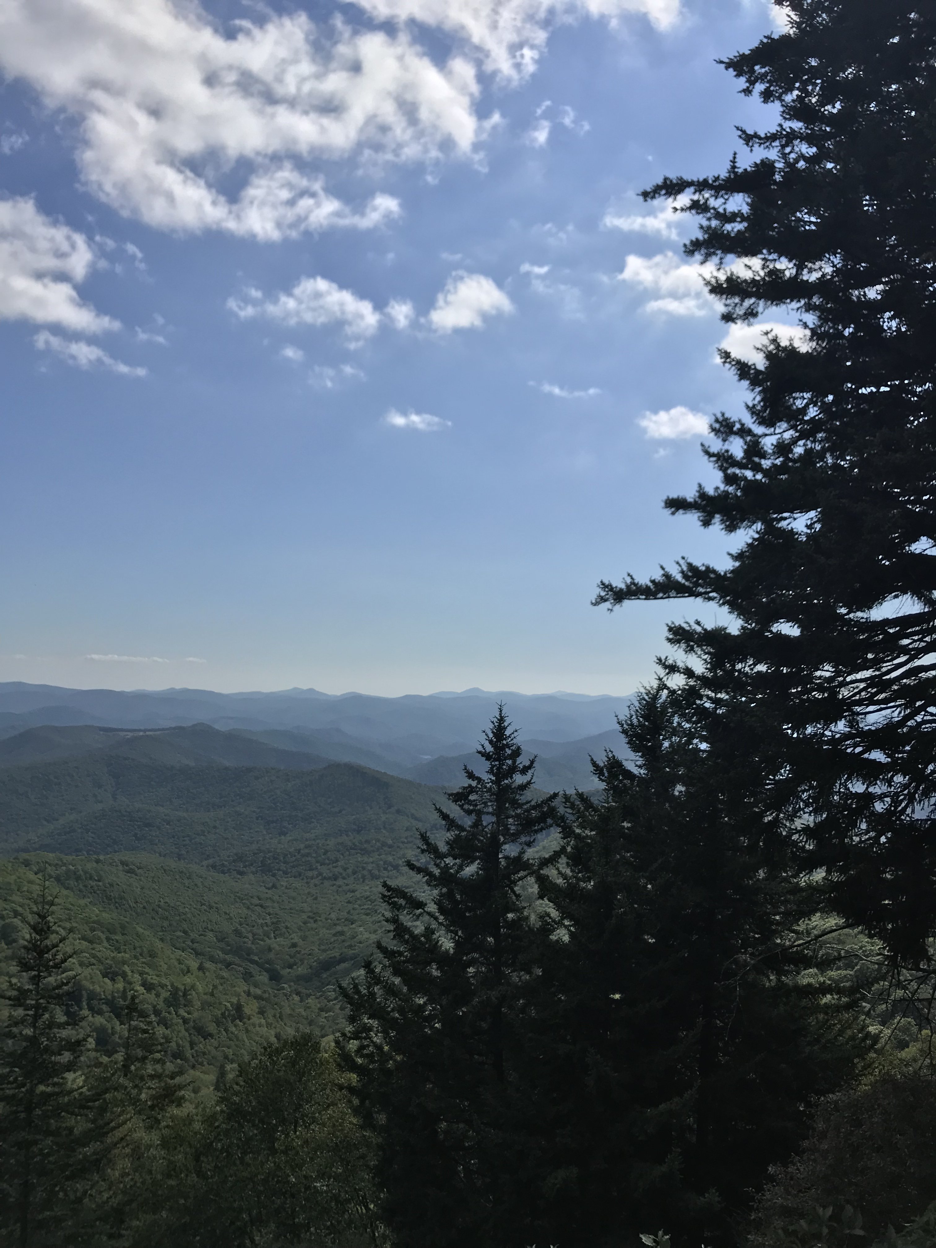040EF61B-5B00-4047-8267-482C4E6158B1.jpeg
