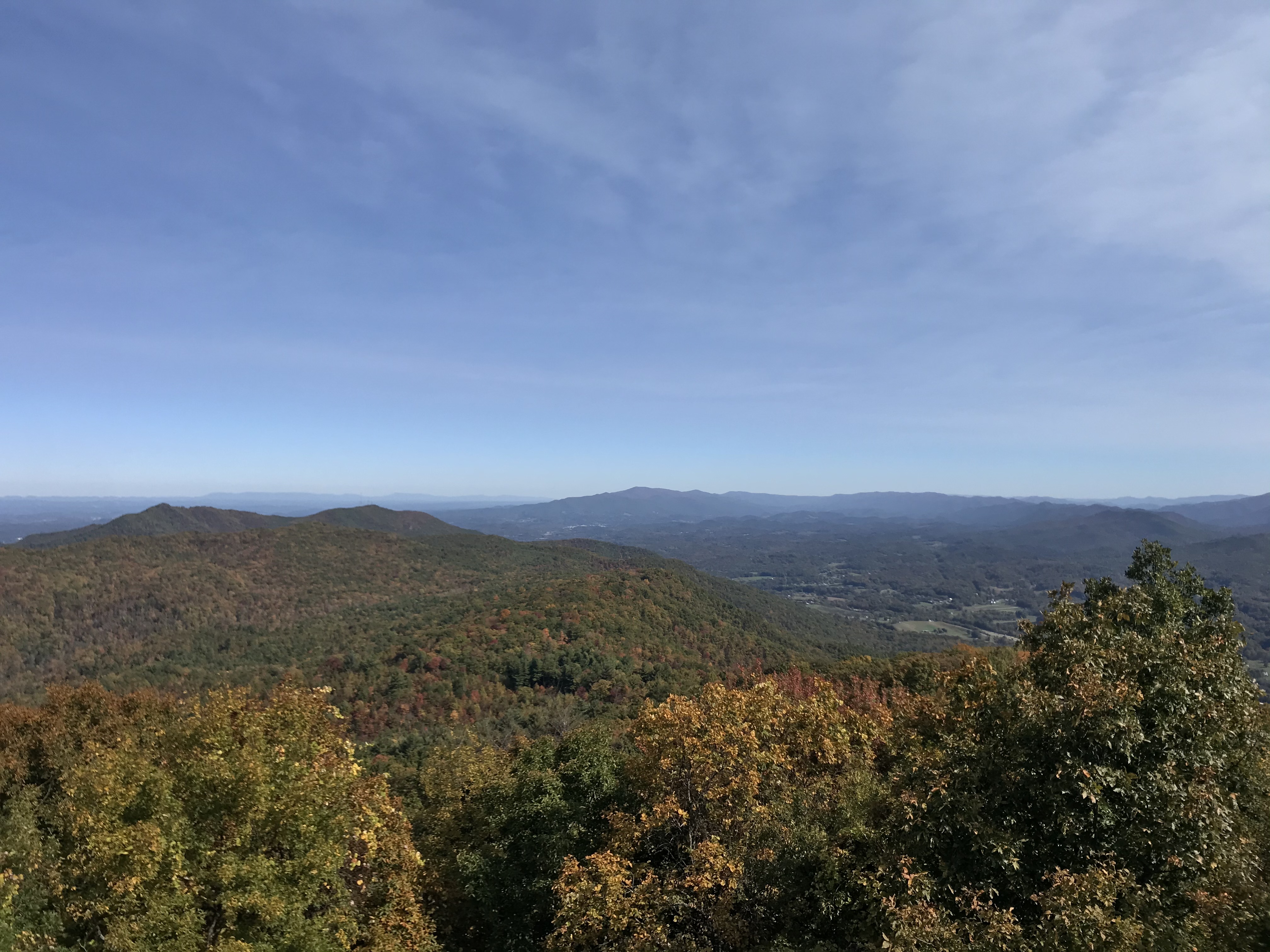 0E46ECAC-1816-4E11-AA73-B9791C07F43D.jpeg