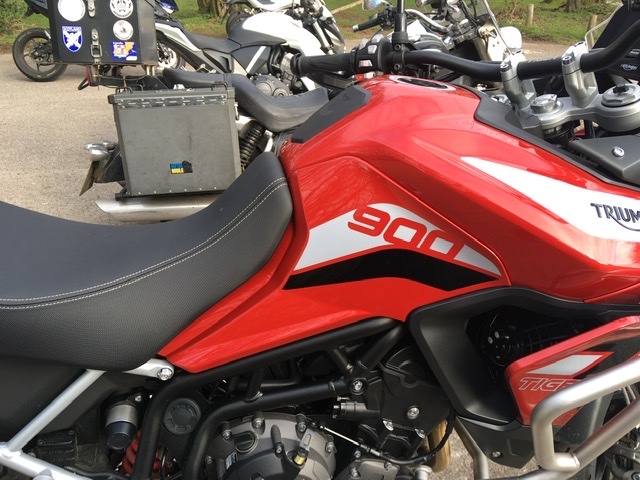 tiger 800 low for sale