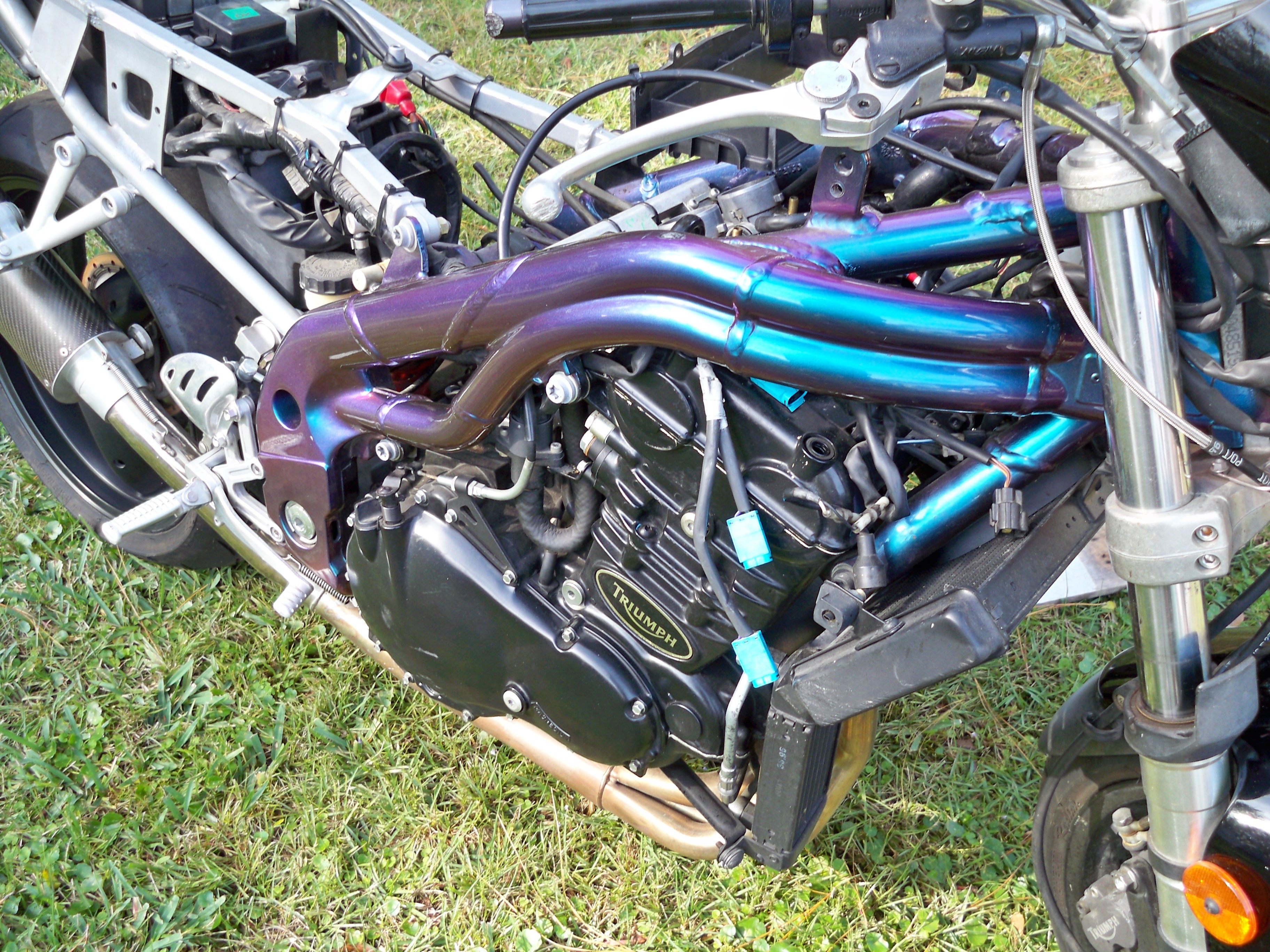100_8233.jpg