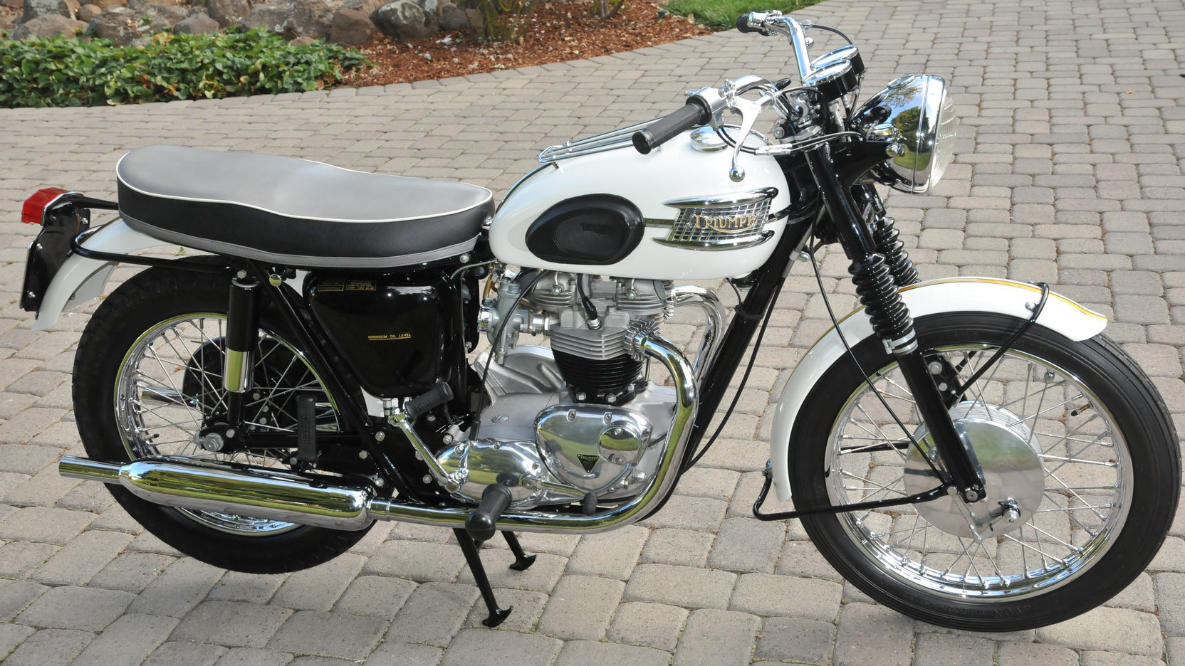 1963 t120 1.jpg