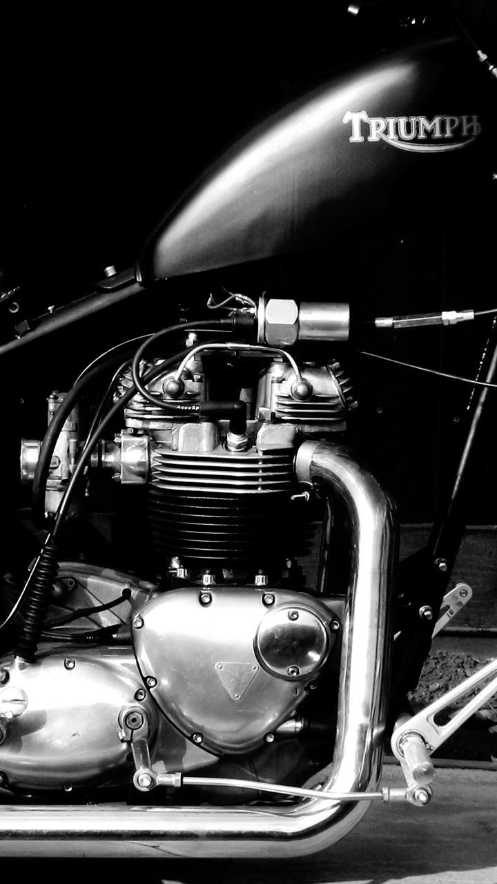 1964 chop.jpg