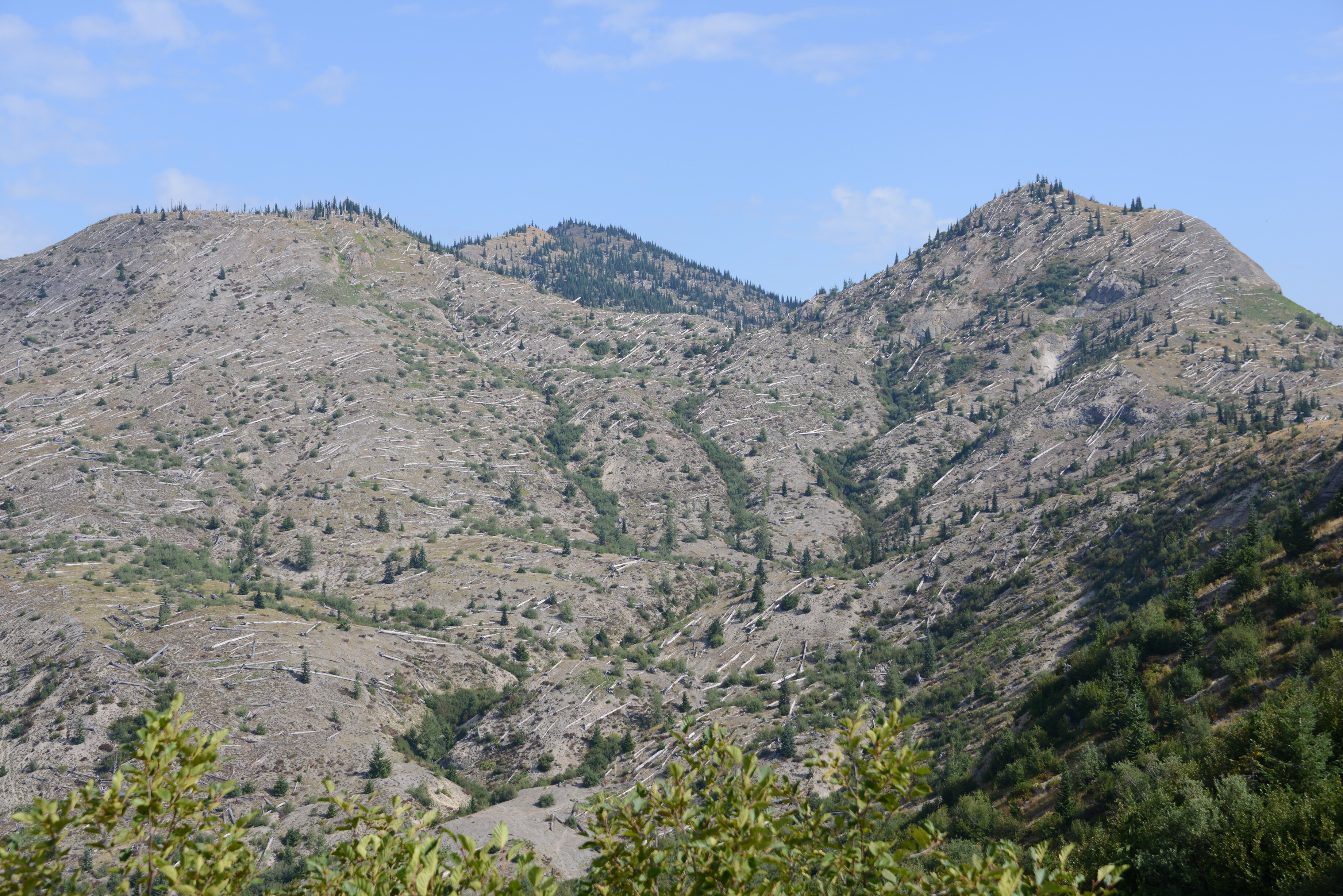 2014-08-24_10-28-21.jpg