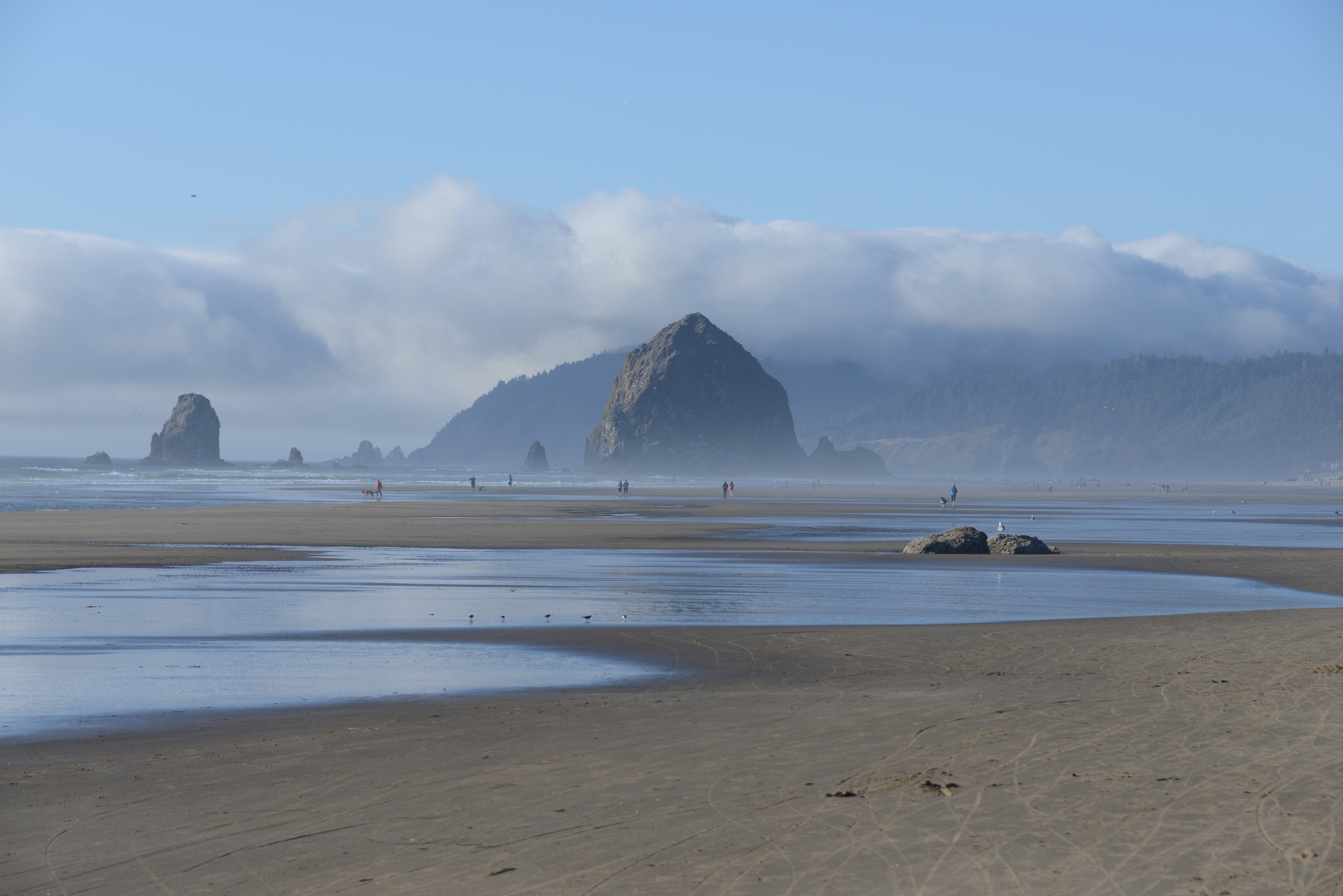 2014-08-24_18-16-20.jpg