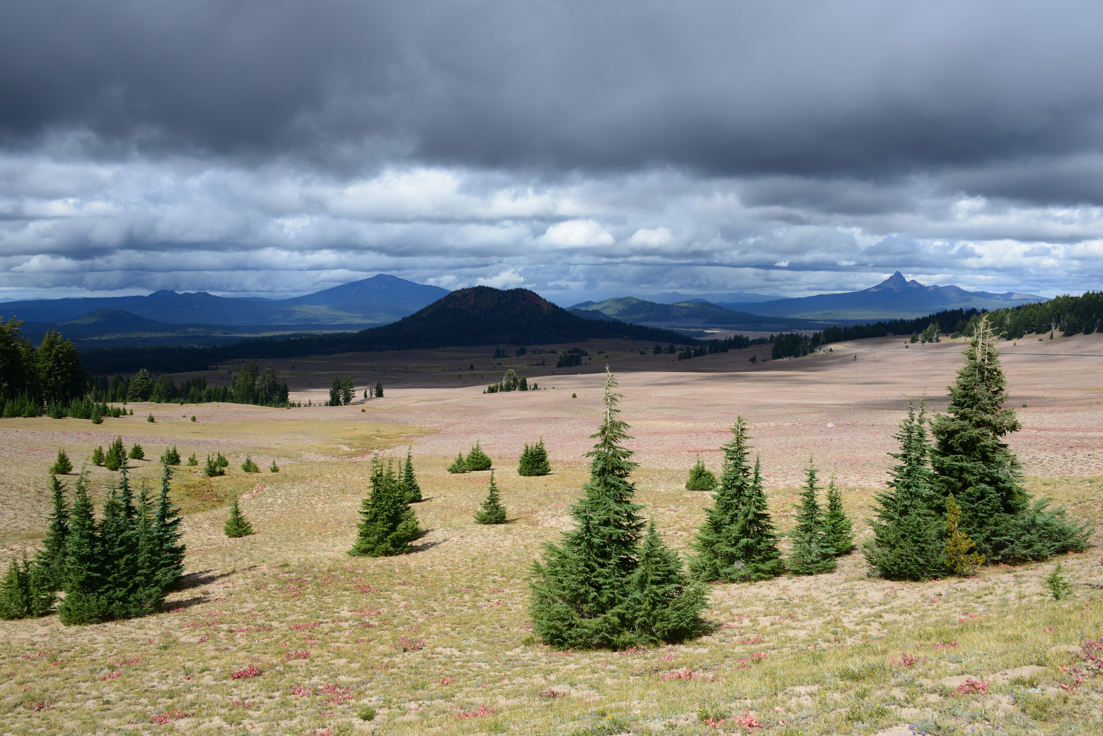 2014-08-30_14-19-49.jpg