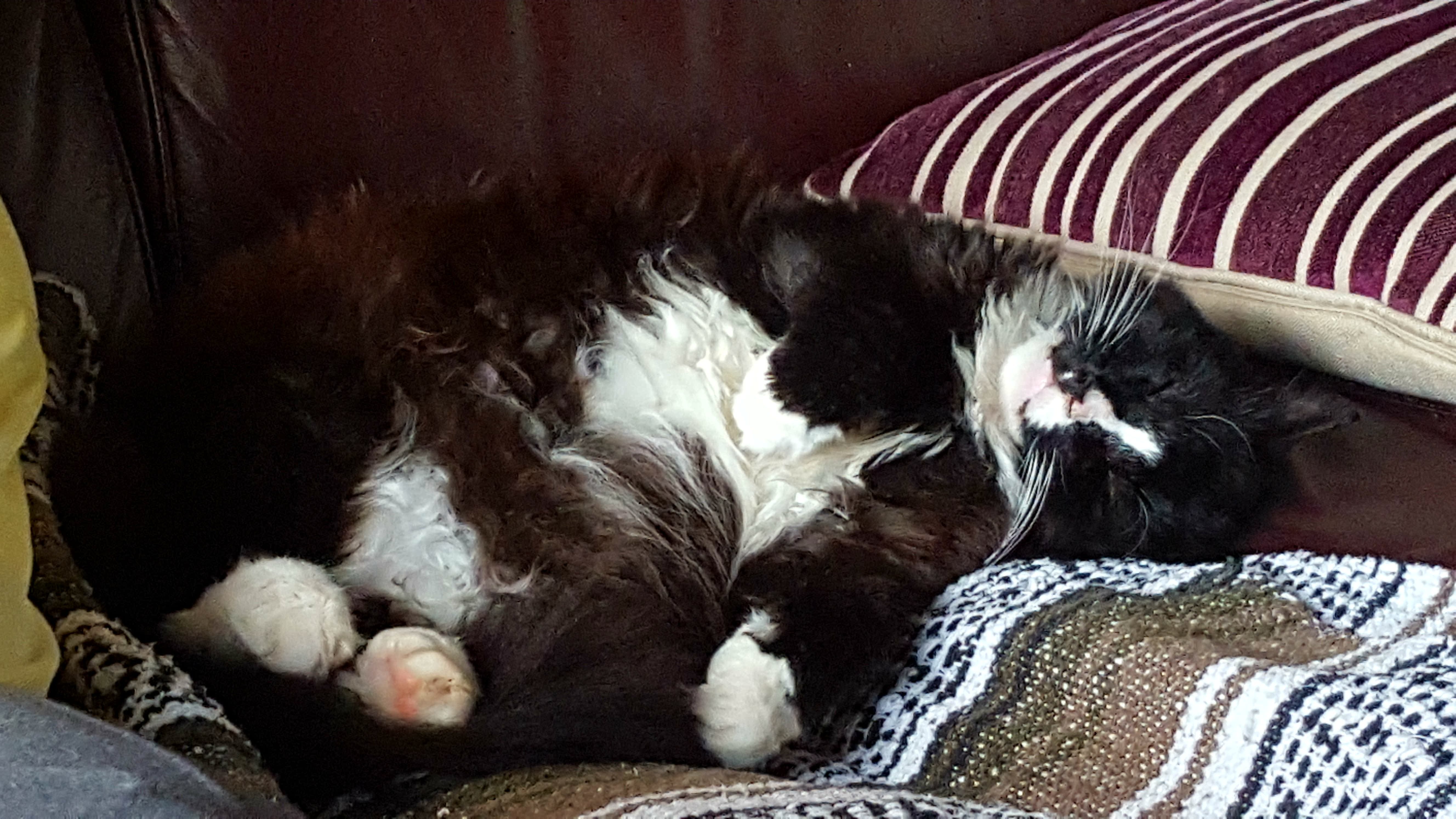 20160705_204219.jpg