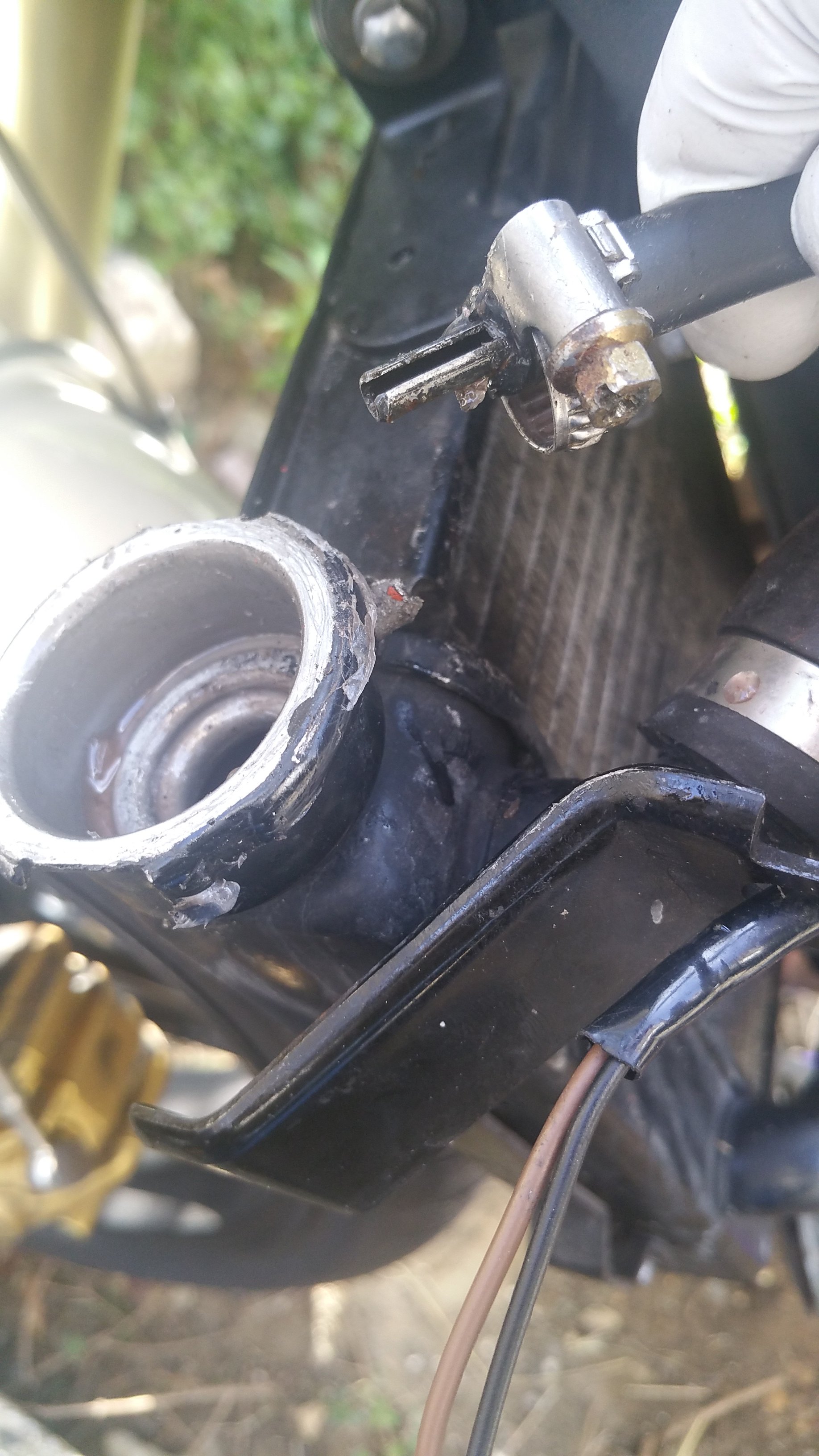 20161004_123811.jpg
