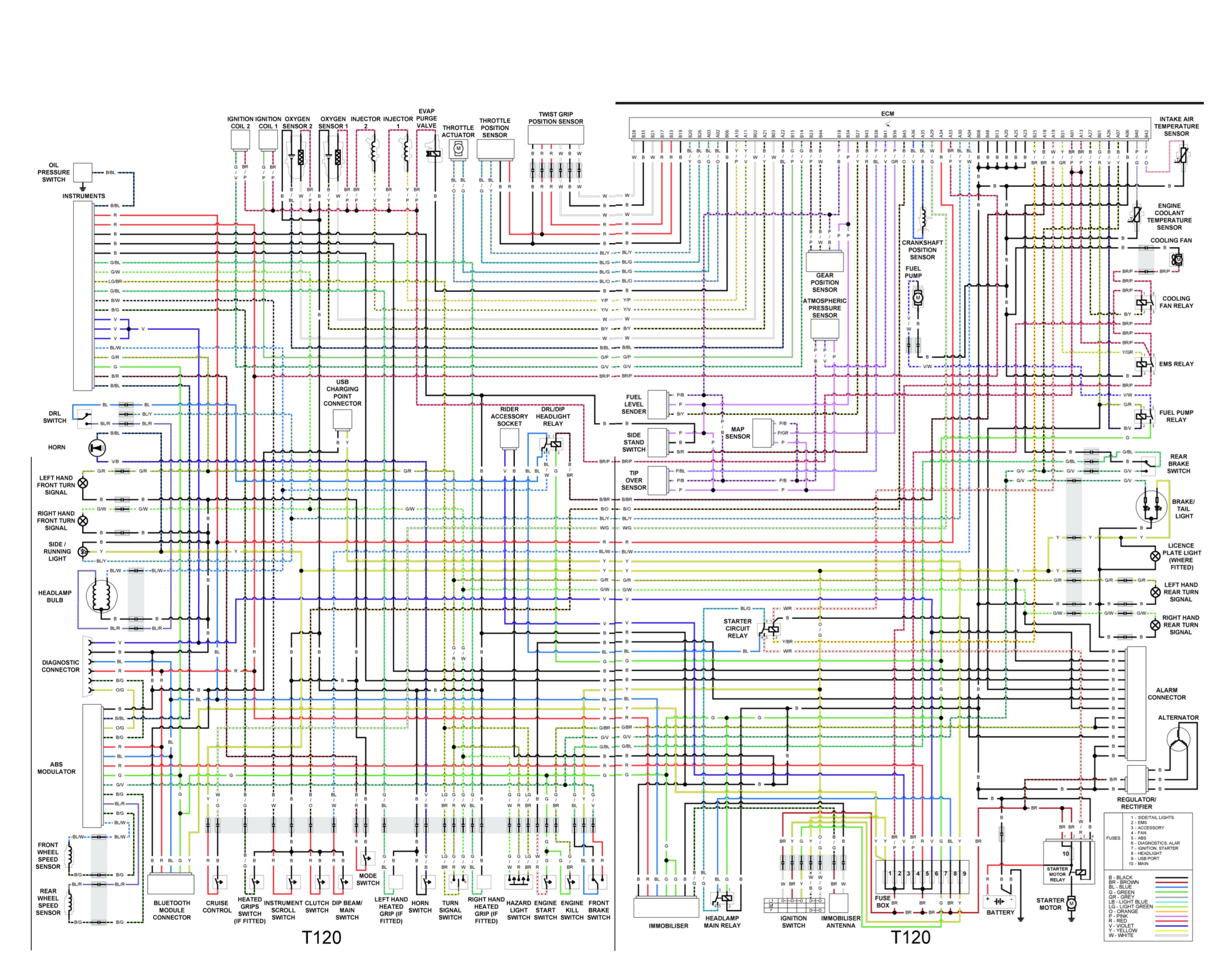 2017 TRIUMPH WIRING.jpg