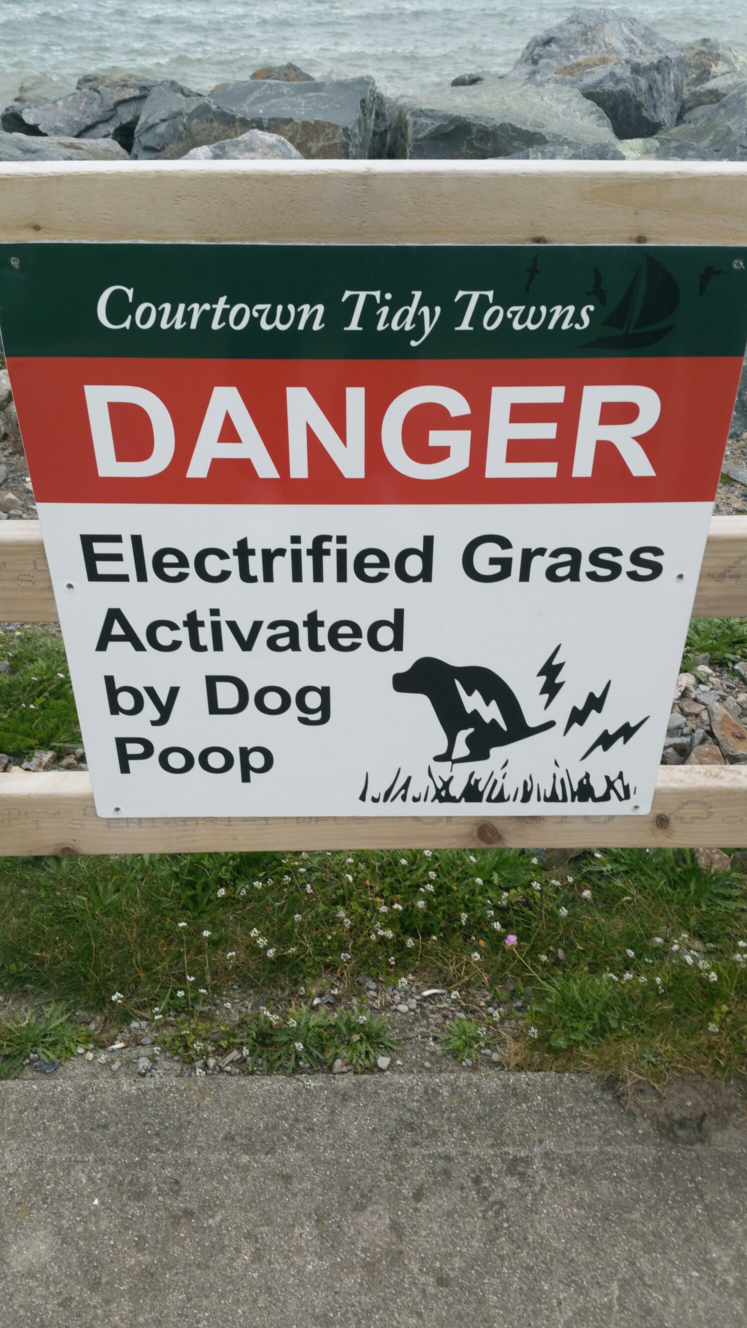 20170417_185327-1494x2656.jpg