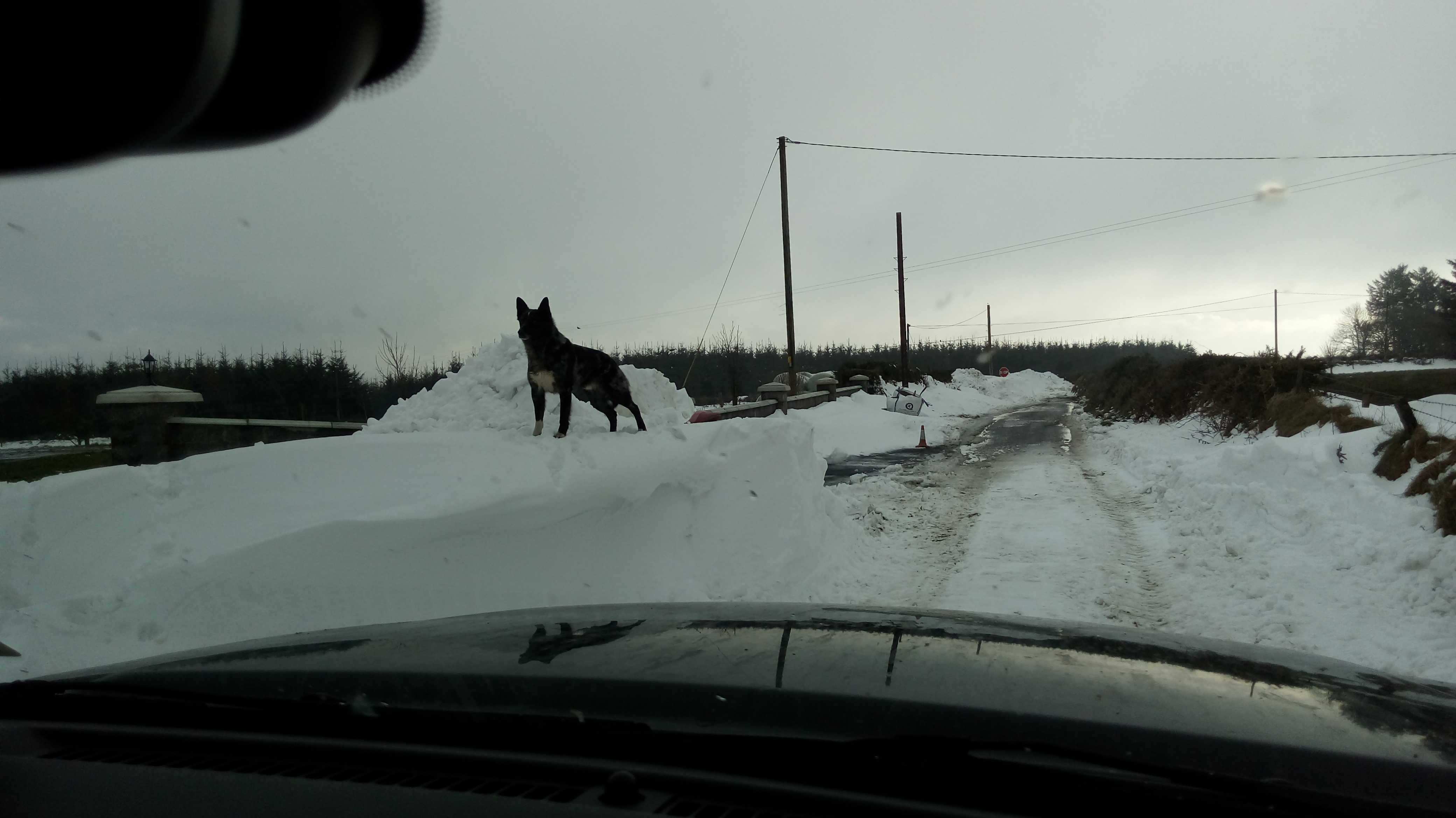 20180304_162821.jpg