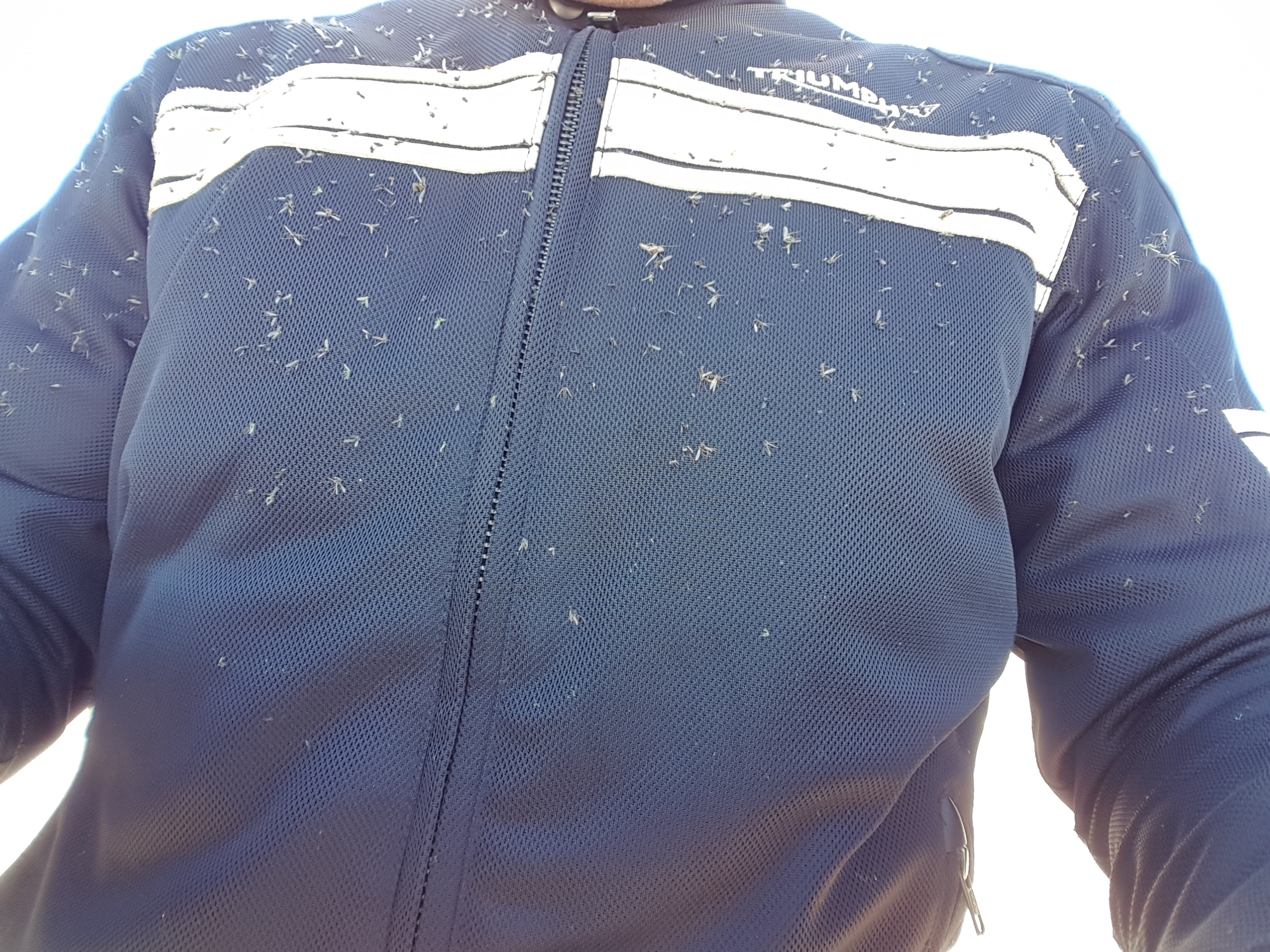 20180506_104039.jpg