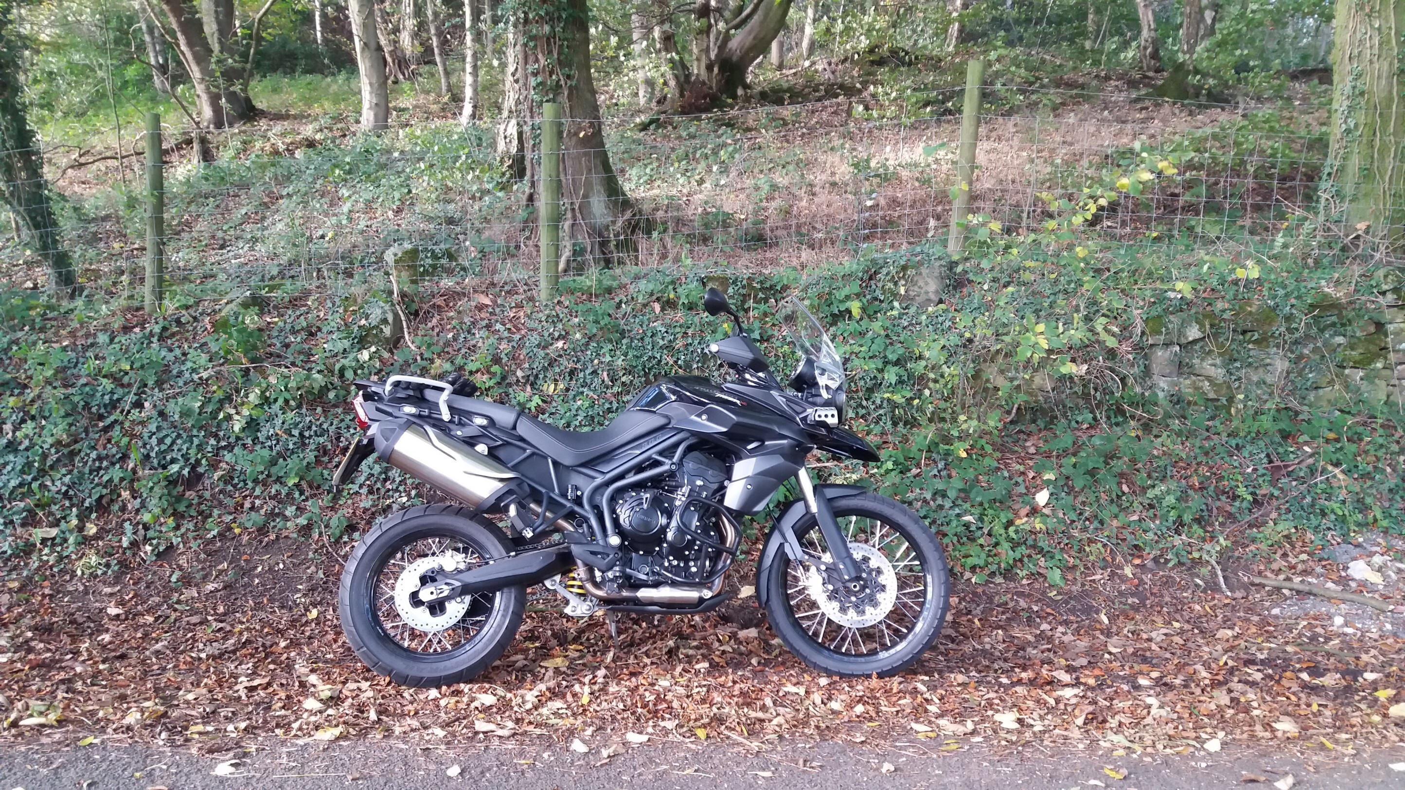 20181020_140123.jpg