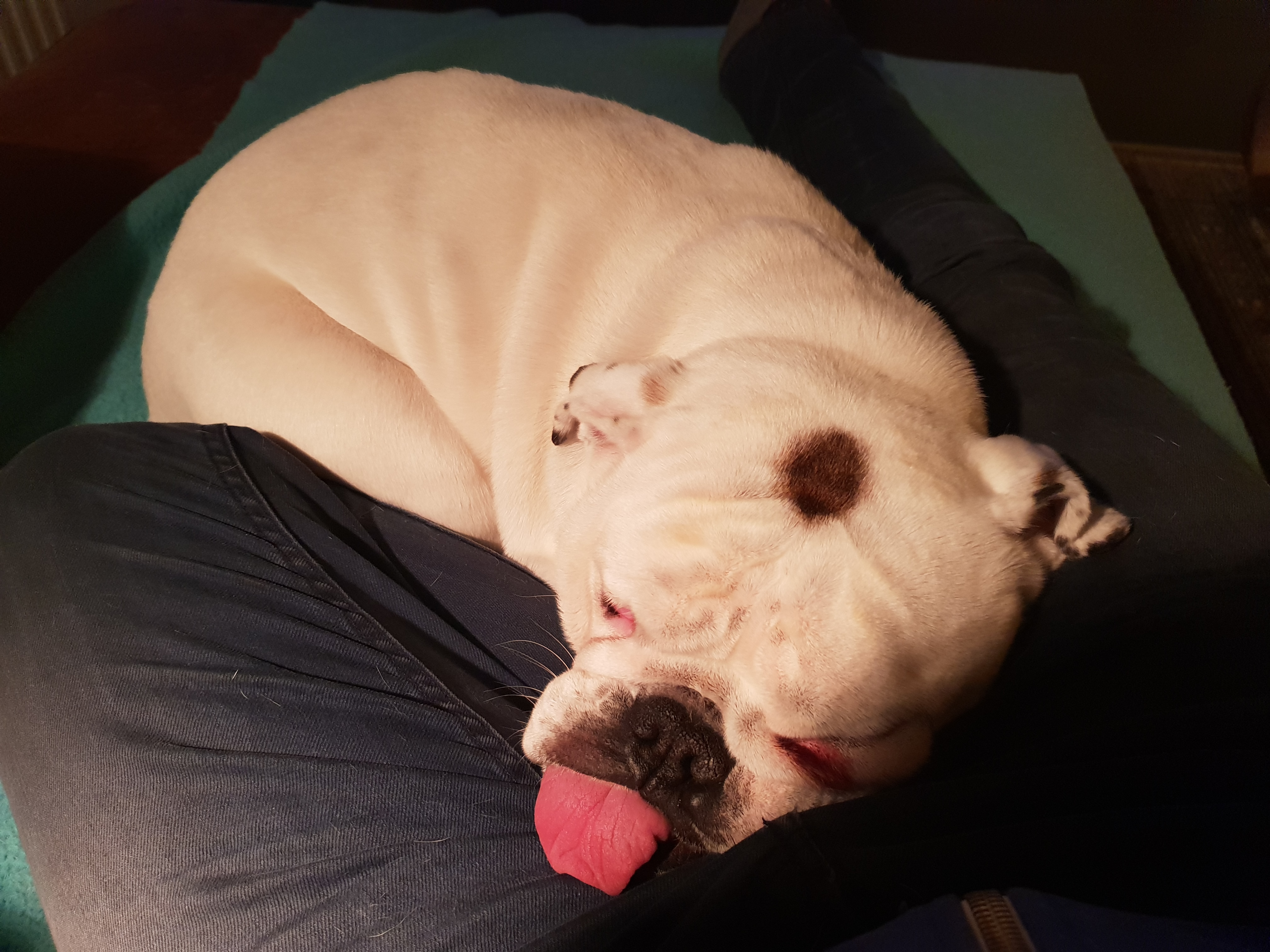 20190126_205933.jpg