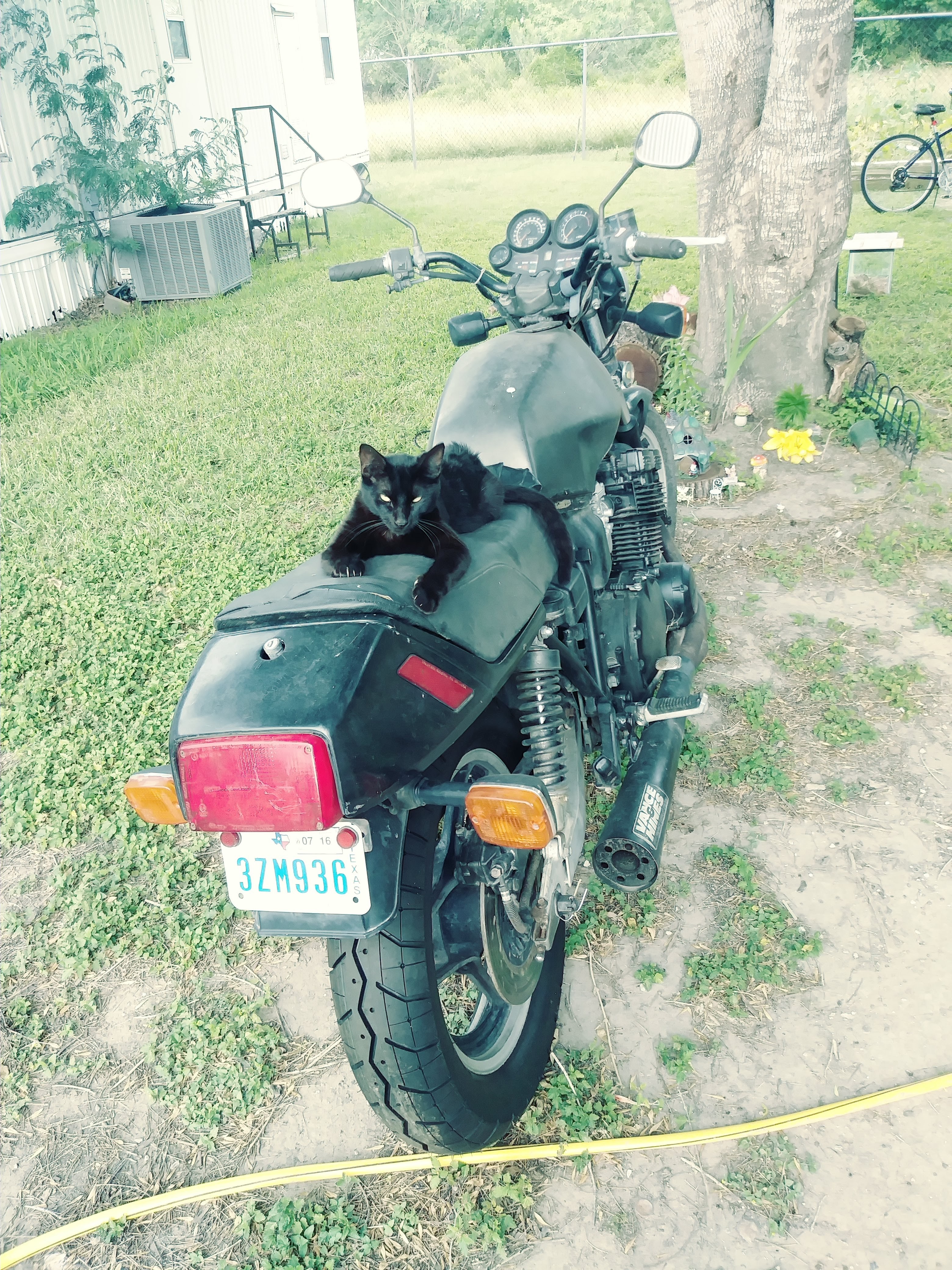 20190416_175356_Film3.jpg