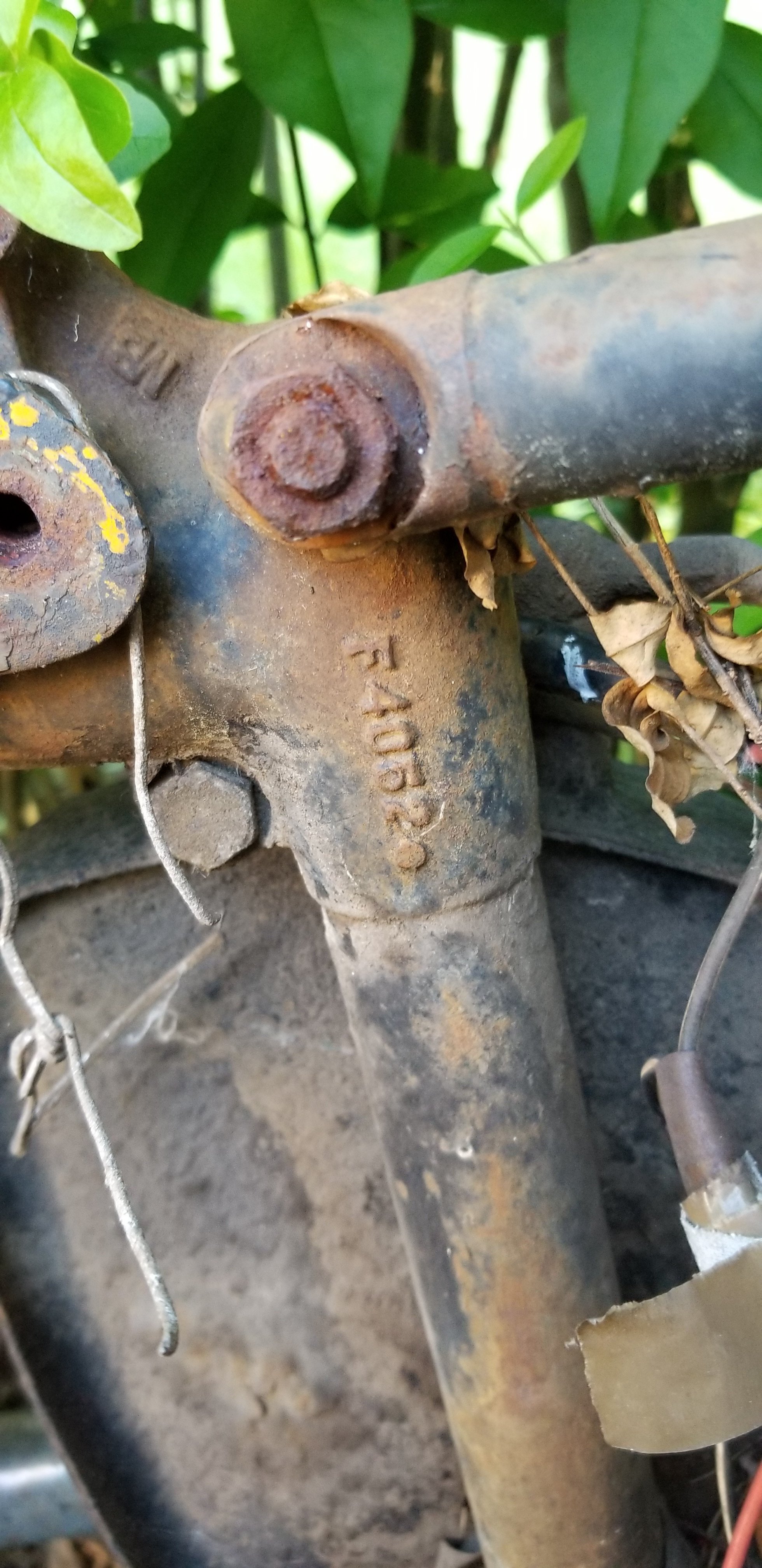 20190714_174522.jpg