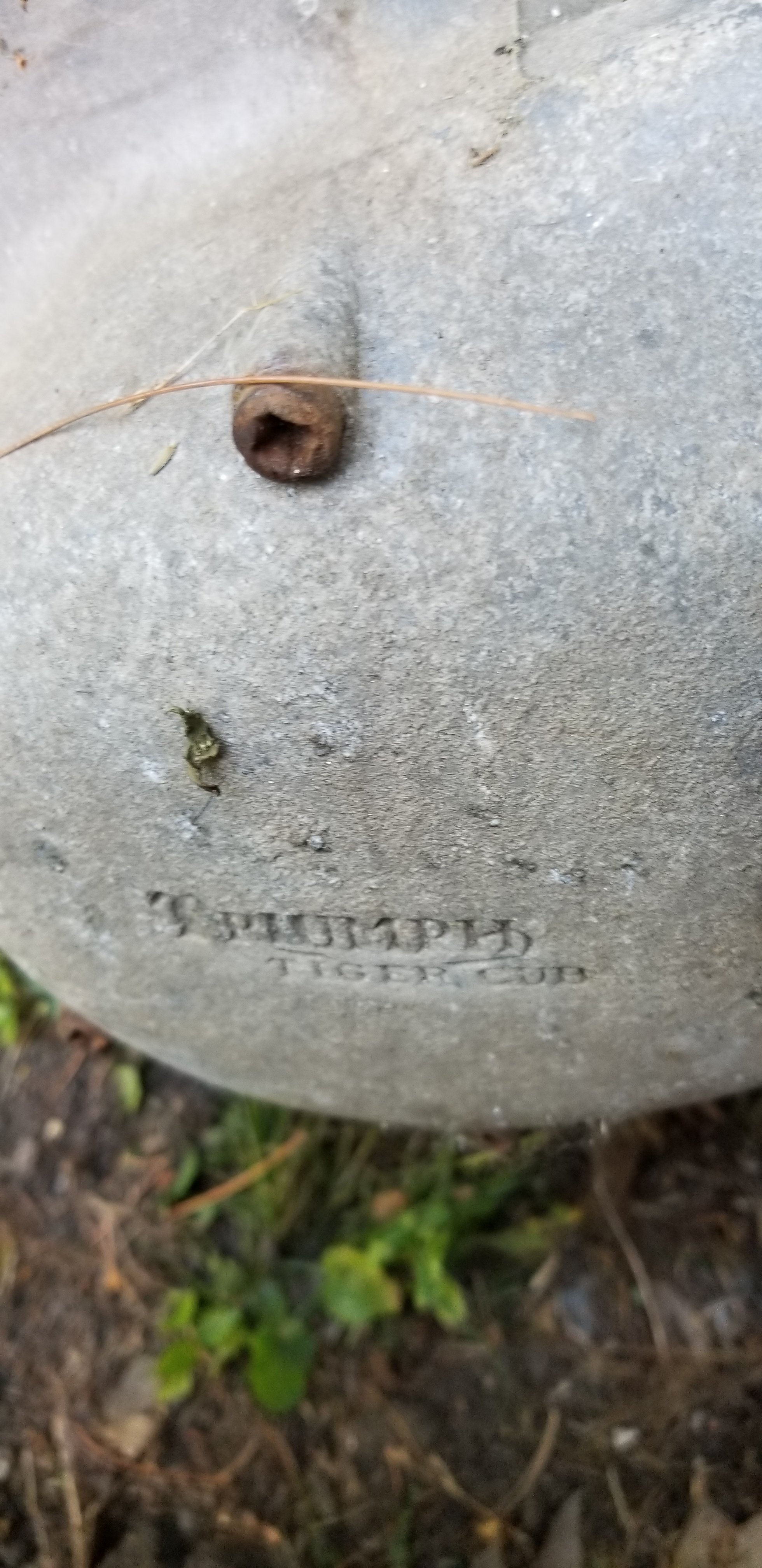 20190714_174541.jpg