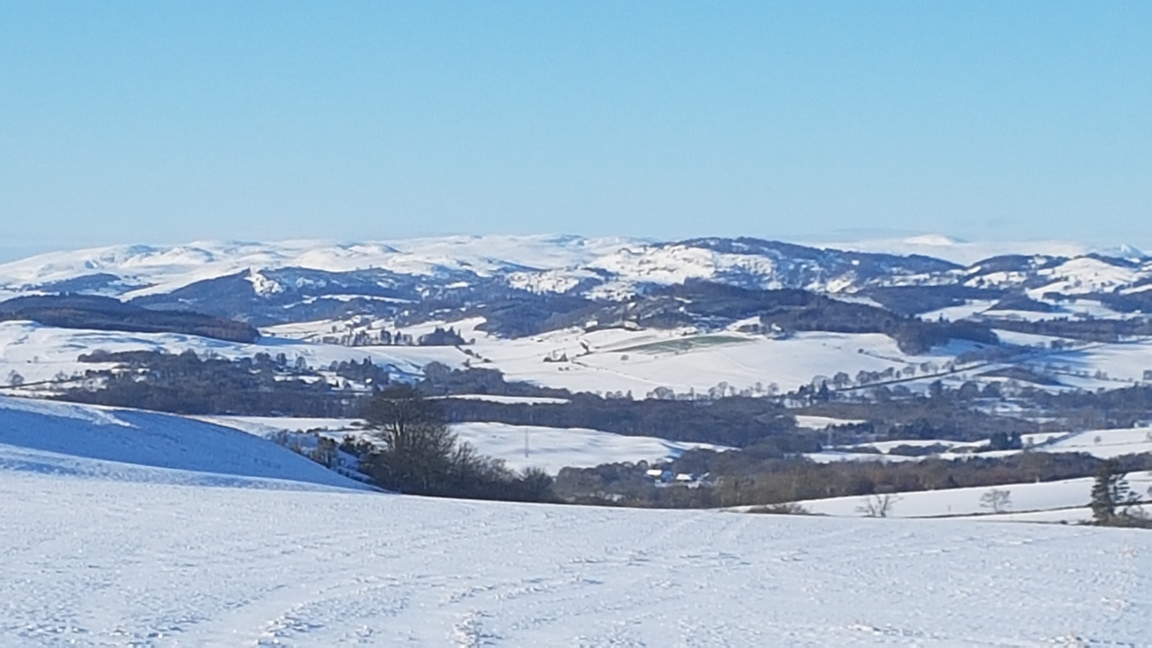 20210211_101519.jpg