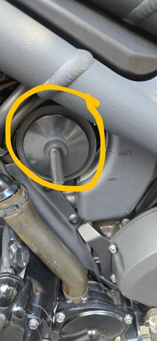 20250913_152433 mini.jpg