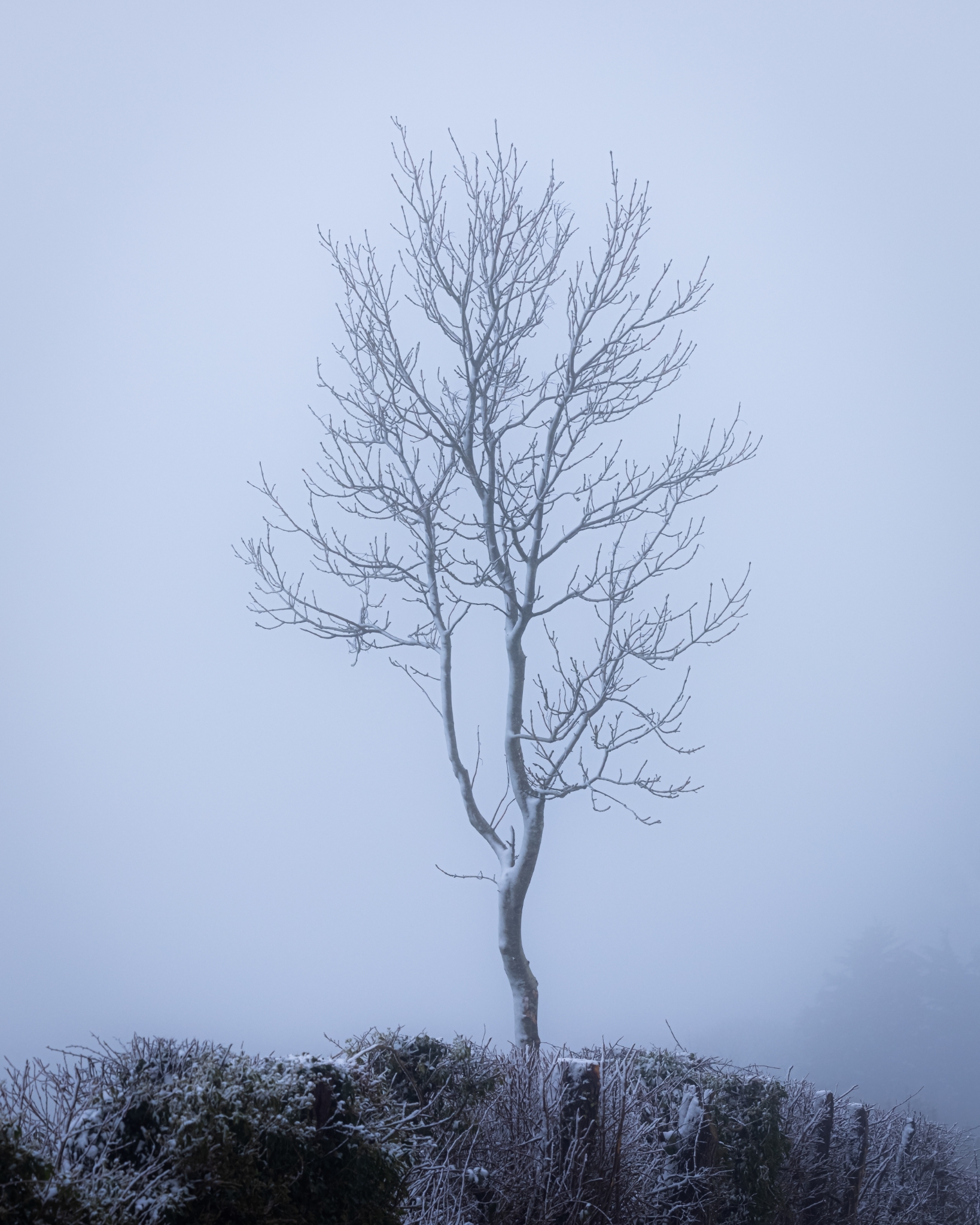 248A7223-Edit.jpg
