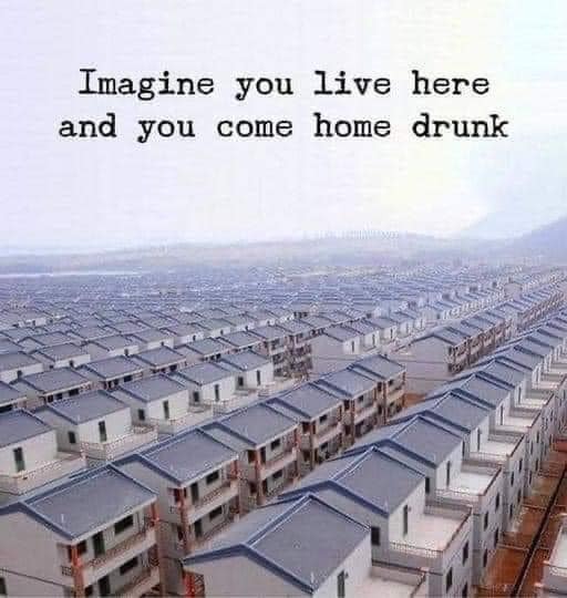 285288138_1462902637561132_3301185866550459900_n.jpg