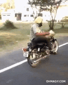 2E344771-3CC4-4F55-8E0D-F62A78019D21.gif