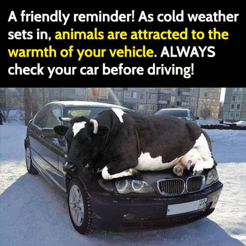 3-funny-winter-tips.jpg