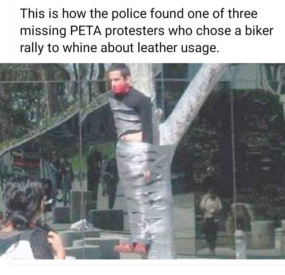 30291.jpg