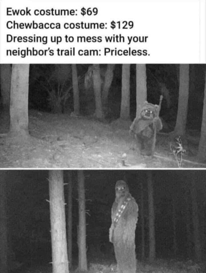 329241890_863235278312530_1806870268262106162_n.jpg