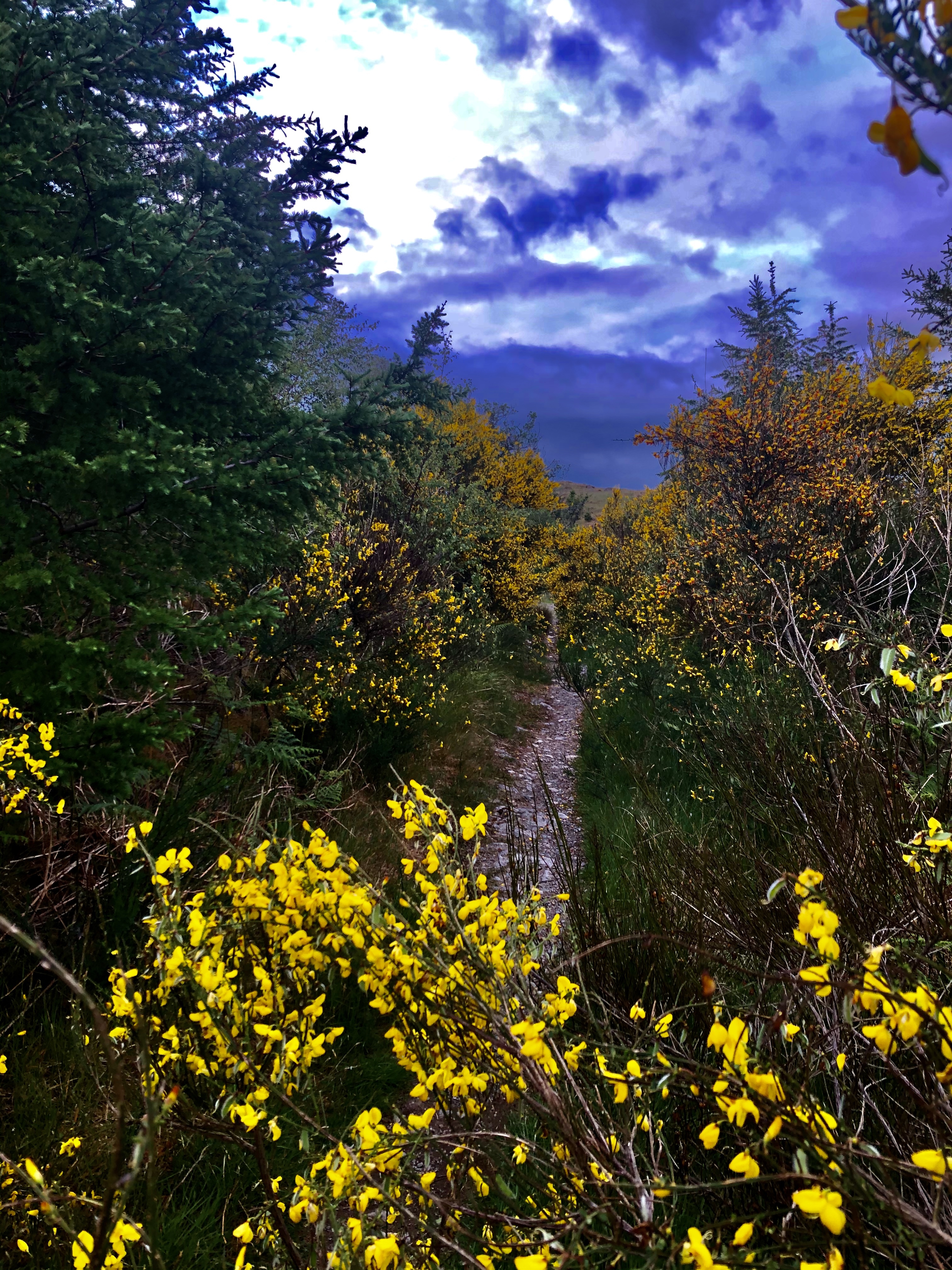 36D005DC-57F0-4EC4-965F-F05C40D6AA30.jpeg