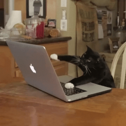3931910E-690B-4CA2-A92A-A4525F1EF886.gif