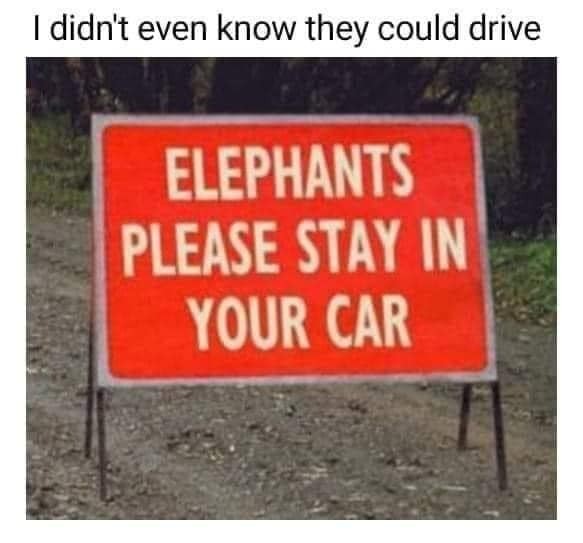 436310504_461691366209840_658773315545312888_n.jpg