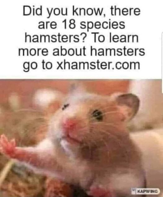 438924508_3055933747875531_5128998355250961906_n.jpg