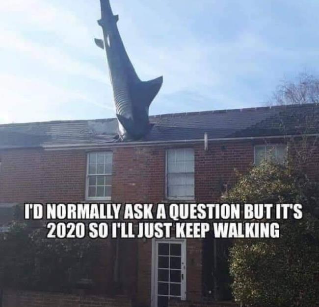 44218.jpg