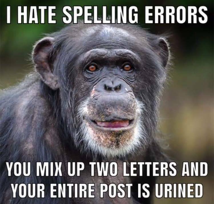 52920351_2375193215834110_6228430090825367552_n.jpg