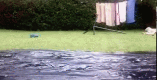 57E74647-EE53-4D1C-A09F-285E198C4E58.gif