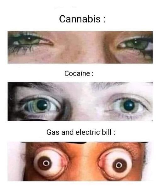 58247.jpeg