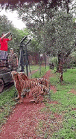 5b89737c0e7aa187835815.gif