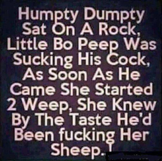 61d49cee6e95339315a20c69254446e7.jpg