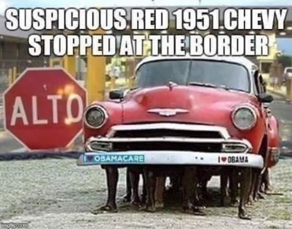 7843.jpg