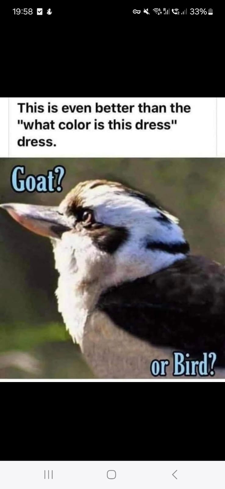 784c48ab-32ad-41de-8ac5-9b25a5894cfc.jpeg