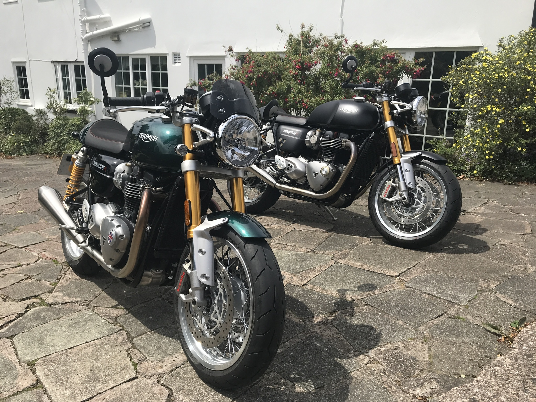 triumph thruxton riding position