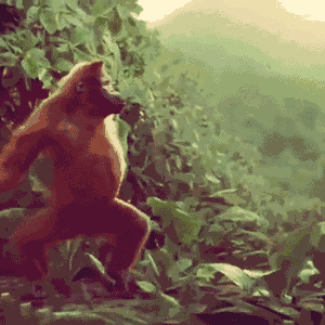 81BEF380-7505-4367-B0E4-85E18799F0E7.gif