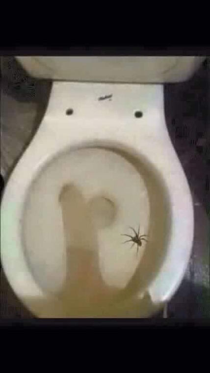 93a36331242d18a6ca1dbef3d937dab9a98d99ce.JPG