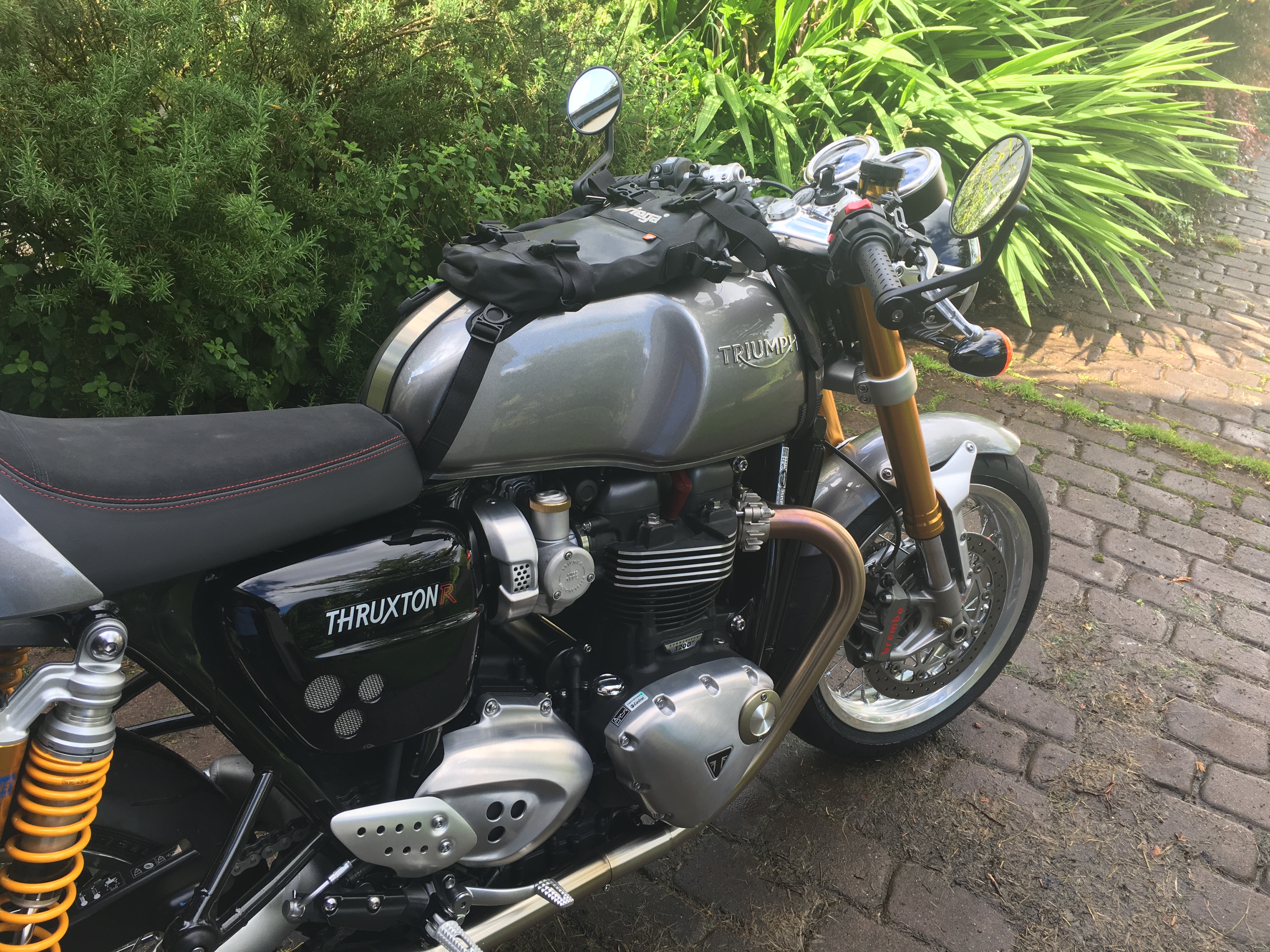 thruxton r saddlebags