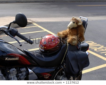 alf-on-motorcycle-450w-1137612.jpg