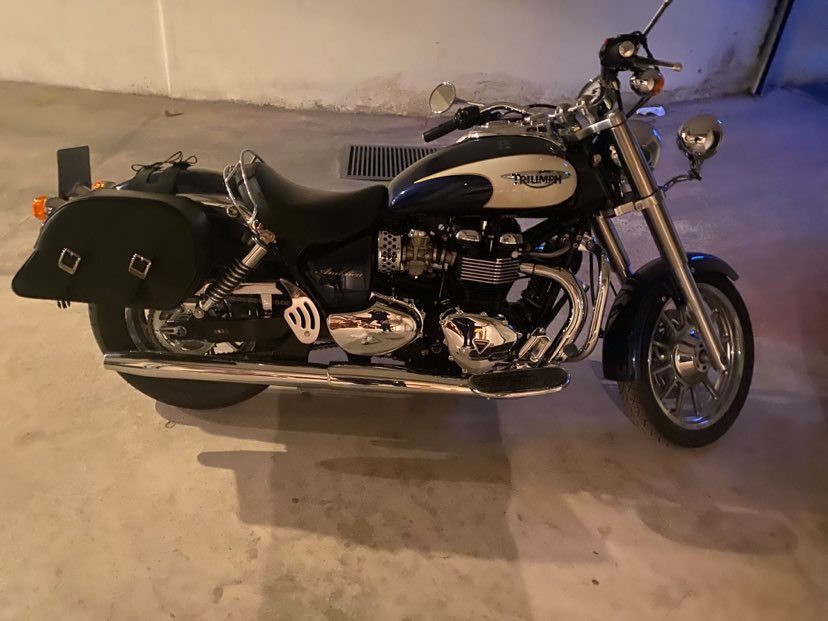 triumph america lt for sale
