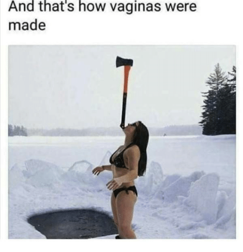 and-thats-how-vaginas-were-made-30669601.png