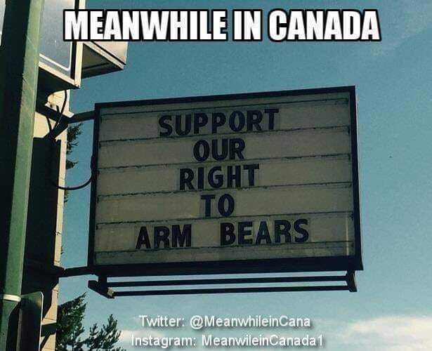 arm bears.jpg