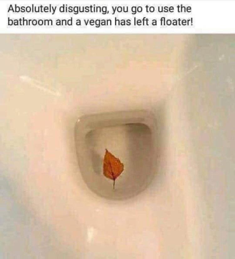 B8047FB6-42C5-47E8-8C95-655EE2705427.jpeg